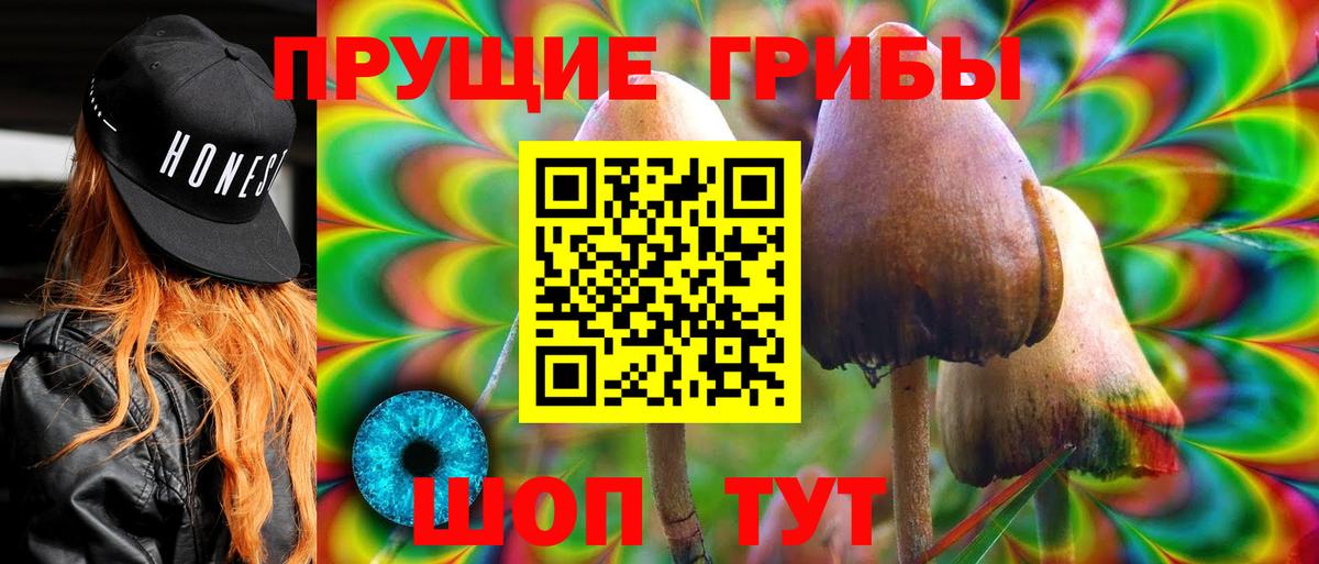 Славгород  Псилоцибиновые грибы MAGIC MUSHROOMS  Вход с VPN  Псилоцибиновые грибы ЛСД 
