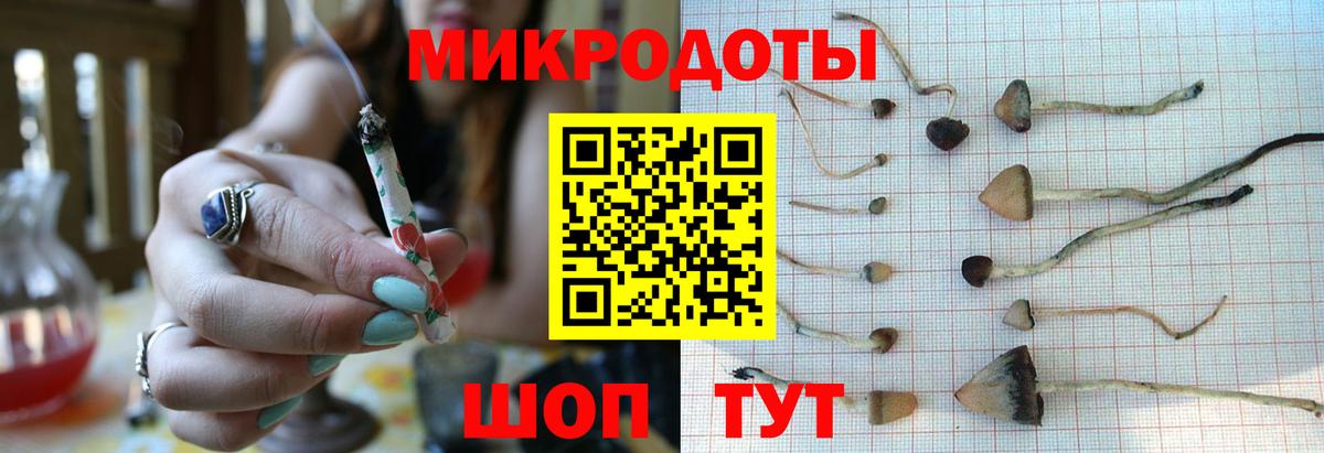 Псилоцибиновые грибы MAGIC MUSHROOMS Славгород
